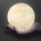 Alabaster Global Ceiling Pendant Light-Meet Lighting